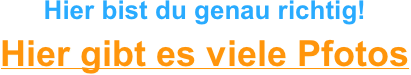 Hier bist du genau richtig!

Hier gibt es viele Pfotos